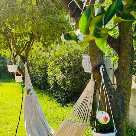 Bed & Breakfast Civico 11 -free Parking-wi-fi *